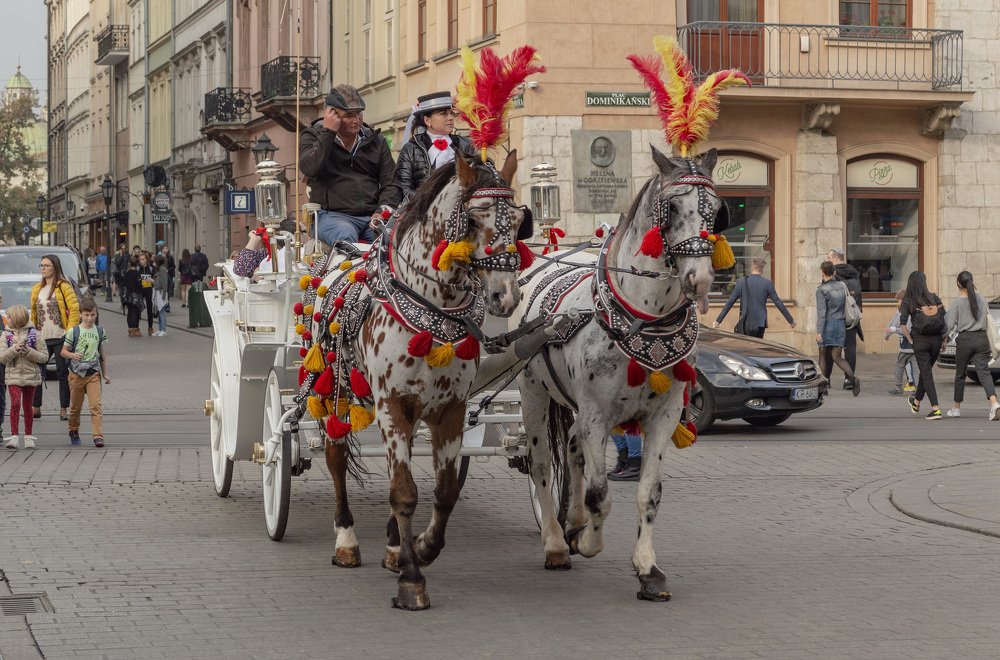 Photograph by Светлана Мельник