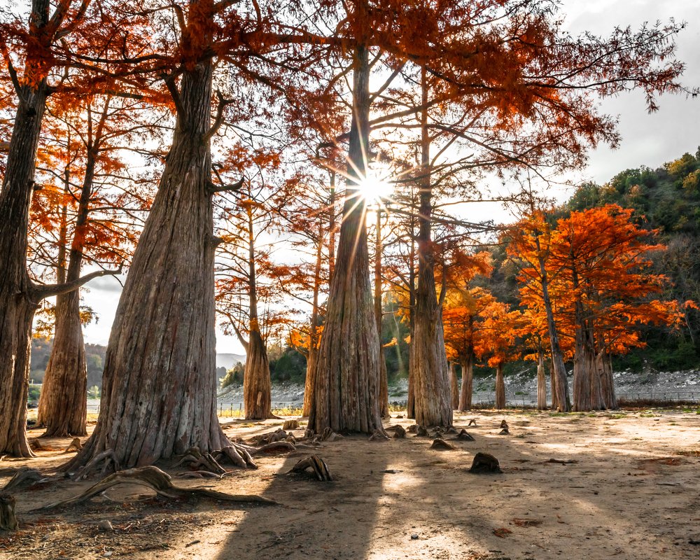 Photograph by Андрей Иордан