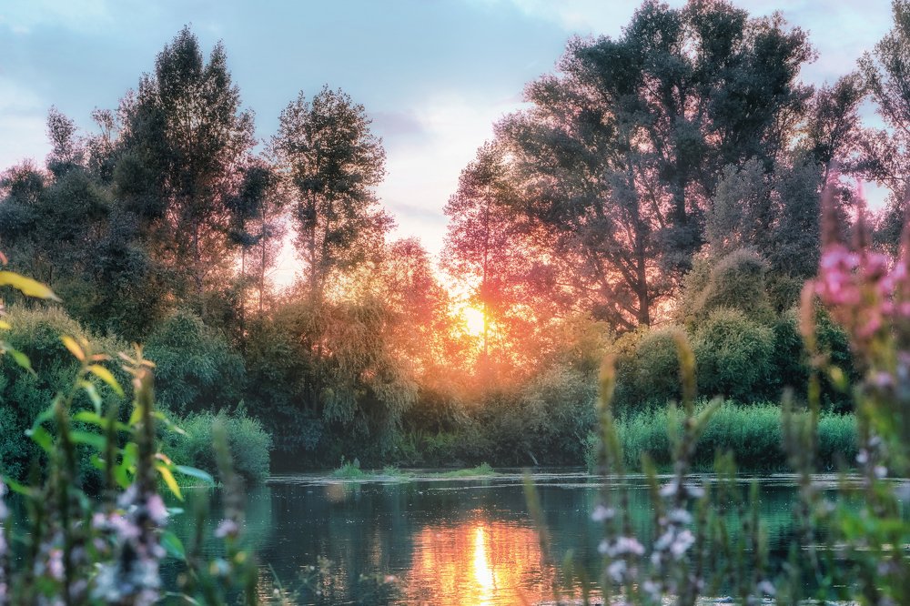 Photograph by Татьяна Минаева