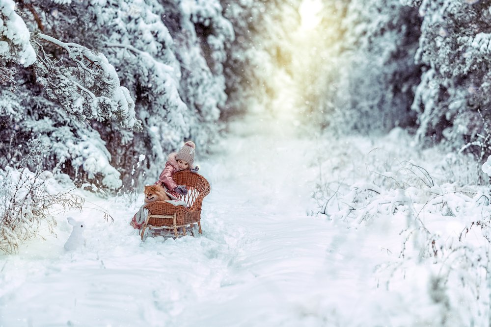 Фотография автора Мария Путилина