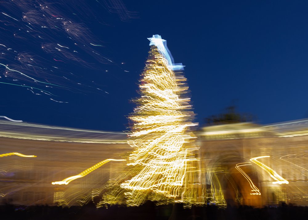 Главная ель