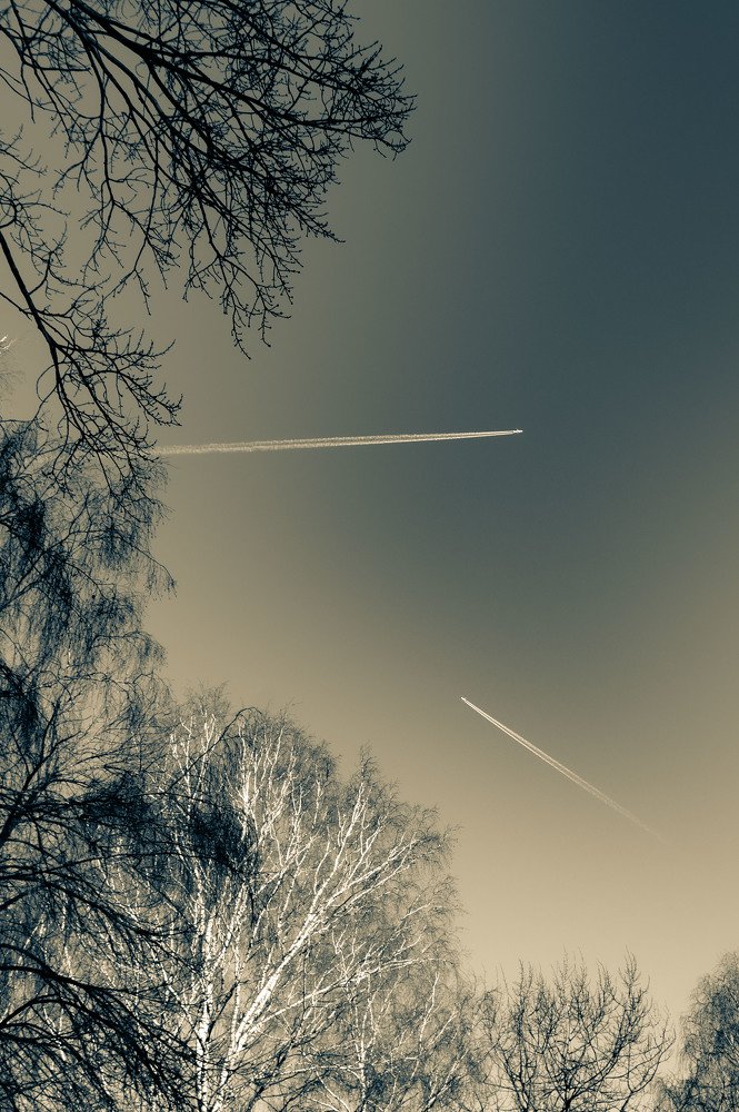 Photograph by Александр Ендин