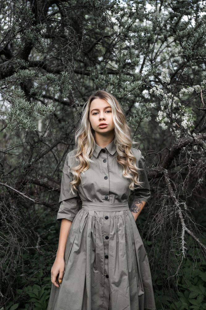 Фотография автора Дмитрий Абросимов