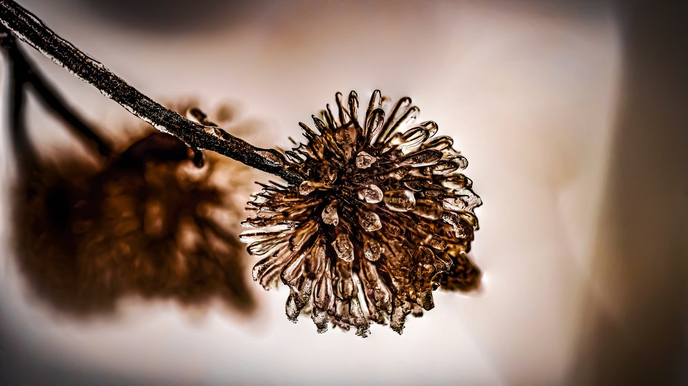 Photograph by Александр Ендин