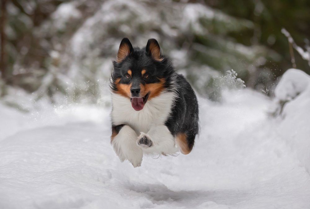 Photograph by Anna Oris