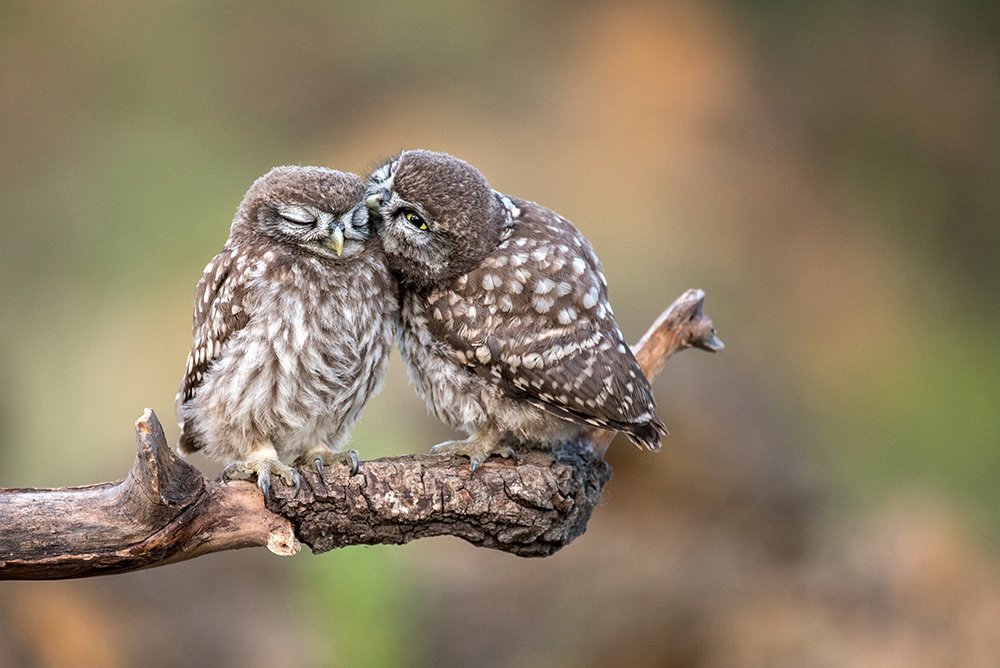 Photograph by Татьяна Жеребцова