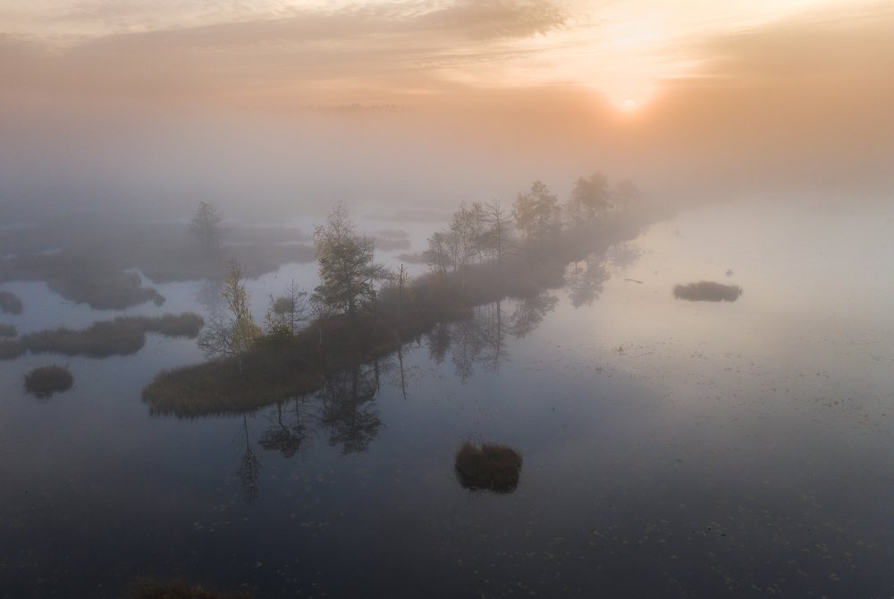 Фотография автора Гарбузов Илья