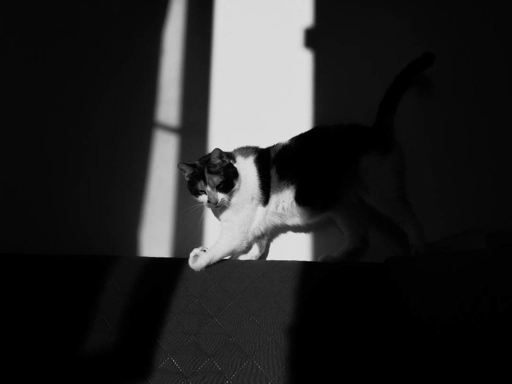 Photograph by Weinstein Isabela