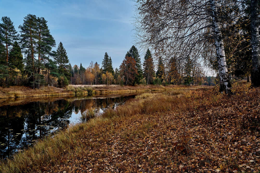 Photograph by Роман Зыков