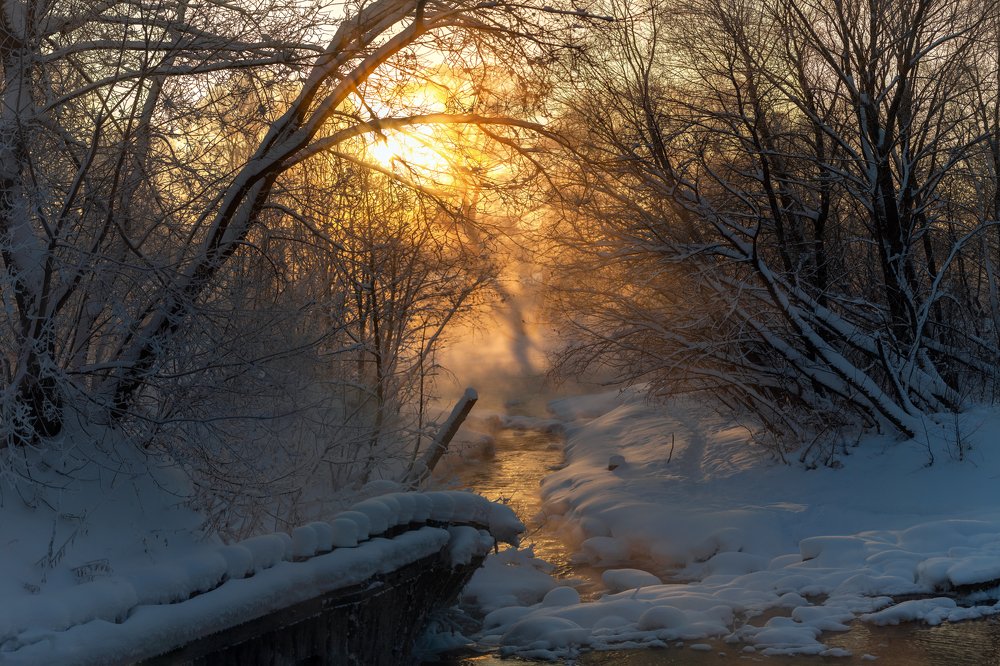 Photograph by Марат Кучкаев