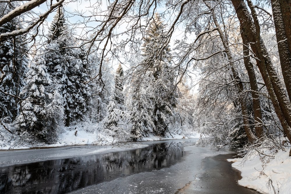 Photograph by Илья Юфа