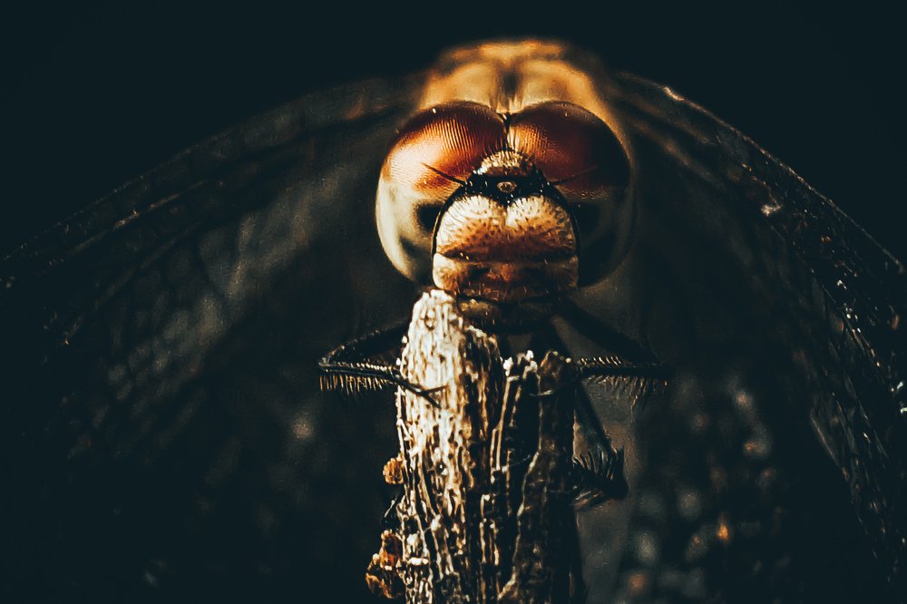 Photograph by Александр Казак