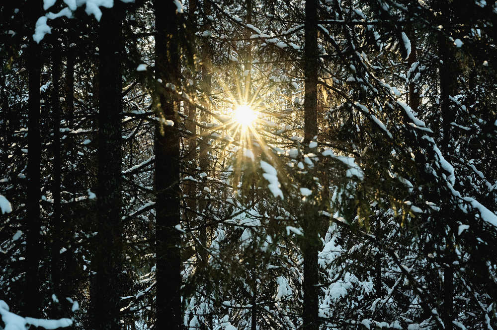 Photograph by Роман Зыков