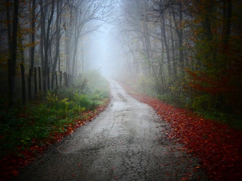 Photograph by Ваня Райчева