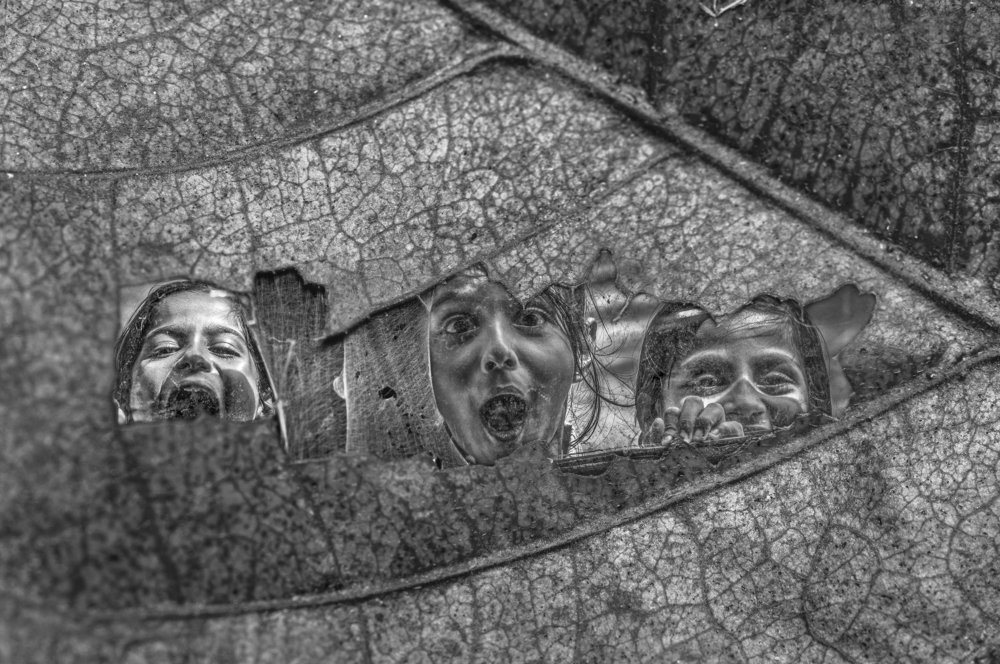 Expressions Through the Window of Nature