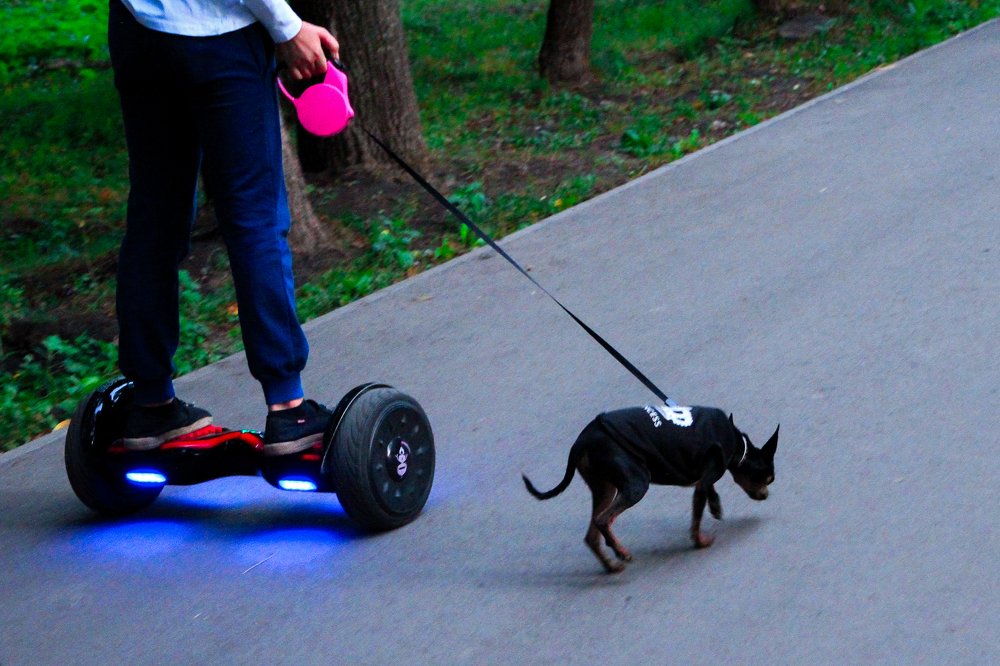 Photograph by Филипп Пархоменко