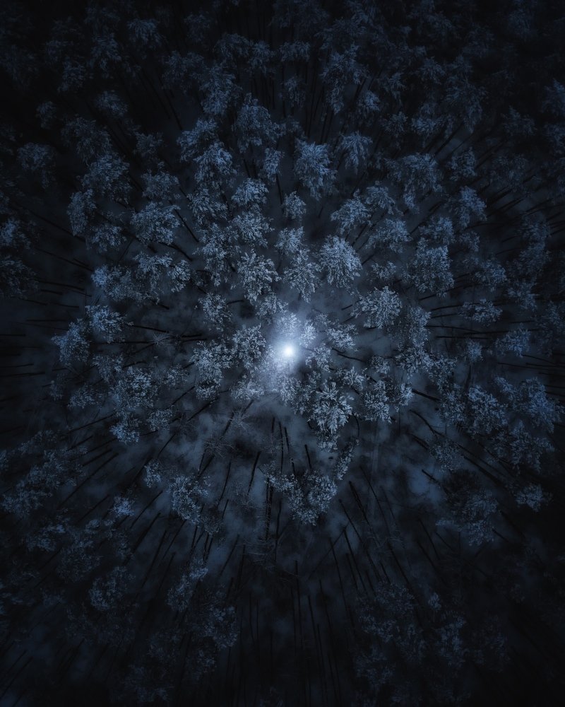 A Ray of light in the dark Kingdom