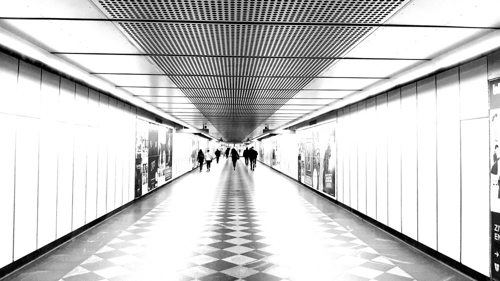 Фотография автора Safet Hasanoski