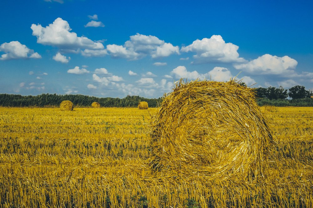 Photograph by Юлия Ковальчук