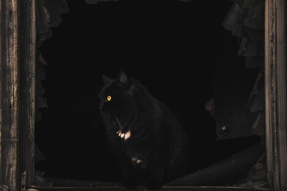 Photograph by Vladimir Golubev