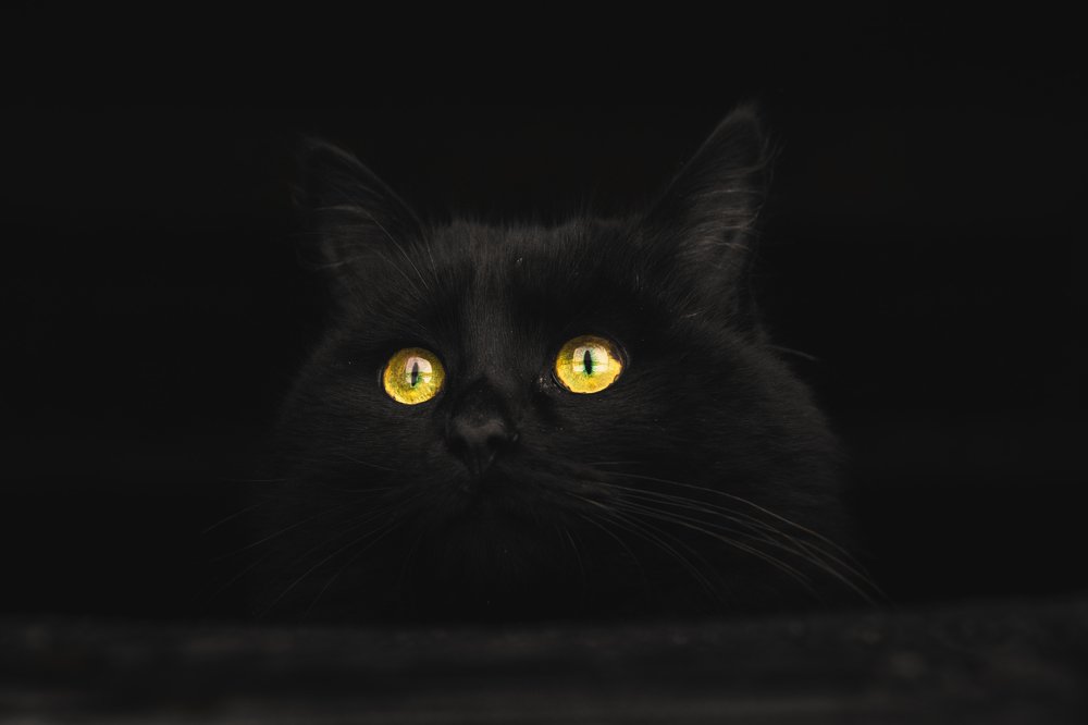 Photograph by Vladimir Golubev