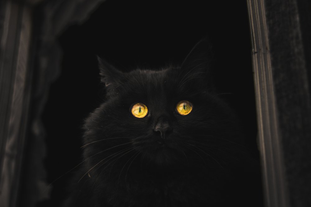 Photograph by Vladimir Golubev