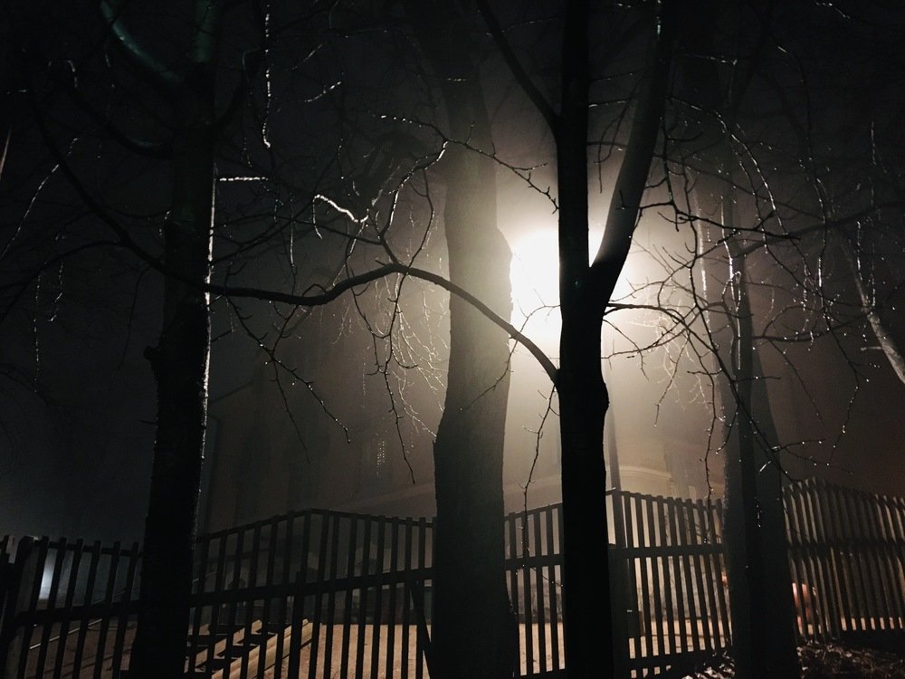 Photograph by Екатерина Мосолова