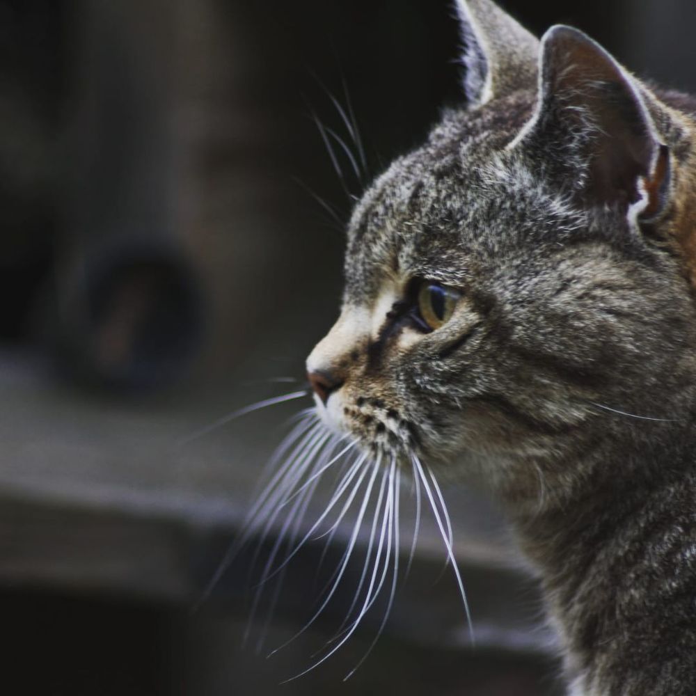 Photograph by Irina Alexeeva