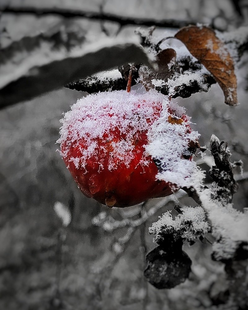 Зима пришла