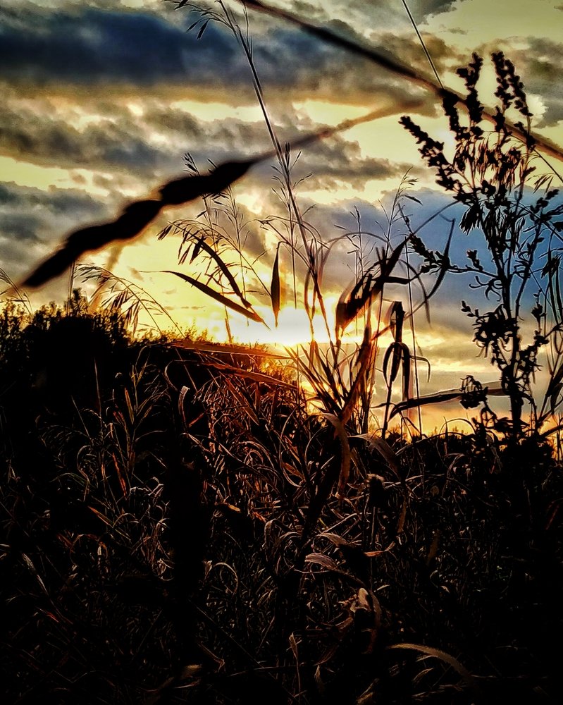 Летний вечер