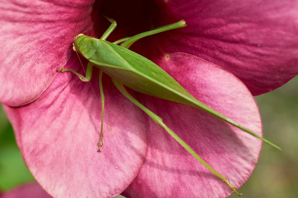 Photograph by Isabel Cristina Tobón