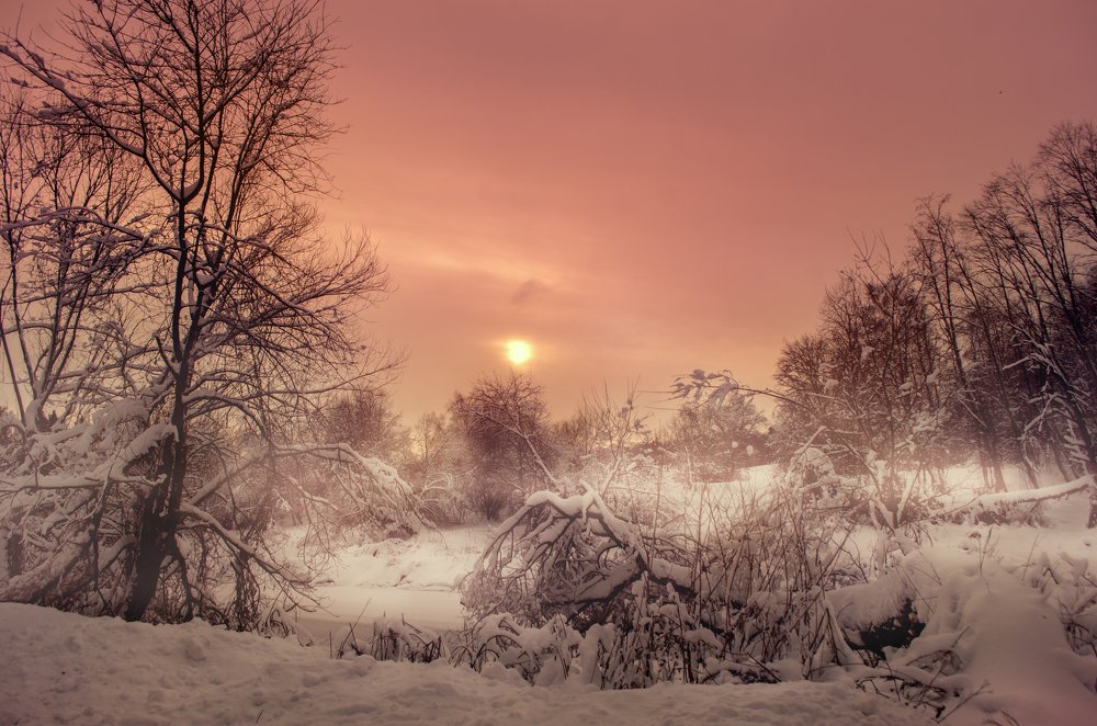 Photograph by Наталья Золотарева