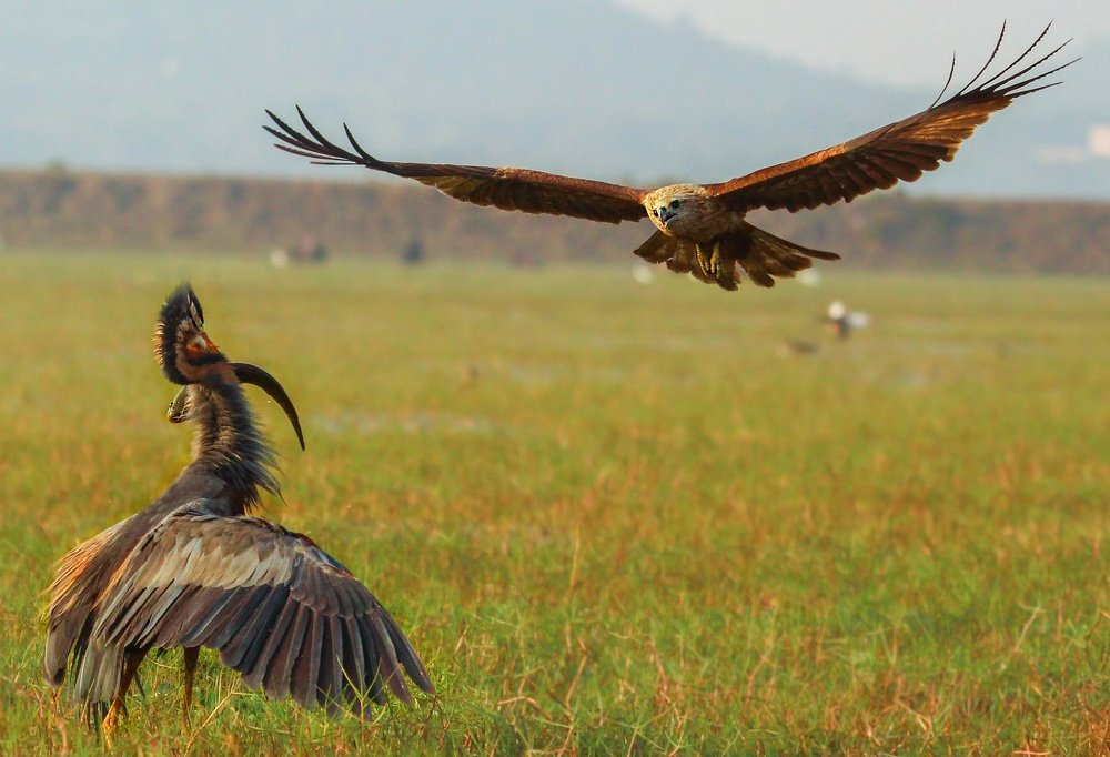 Photograph by Akash Bhattacharyya