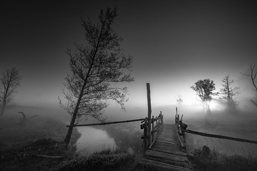 Photograph by Sieku Łukasz