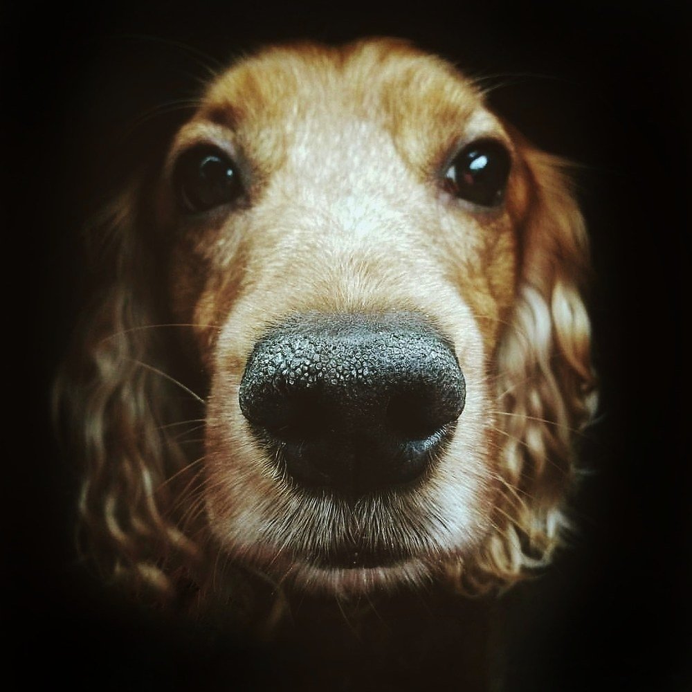 Photograph by Marta Savelyeva