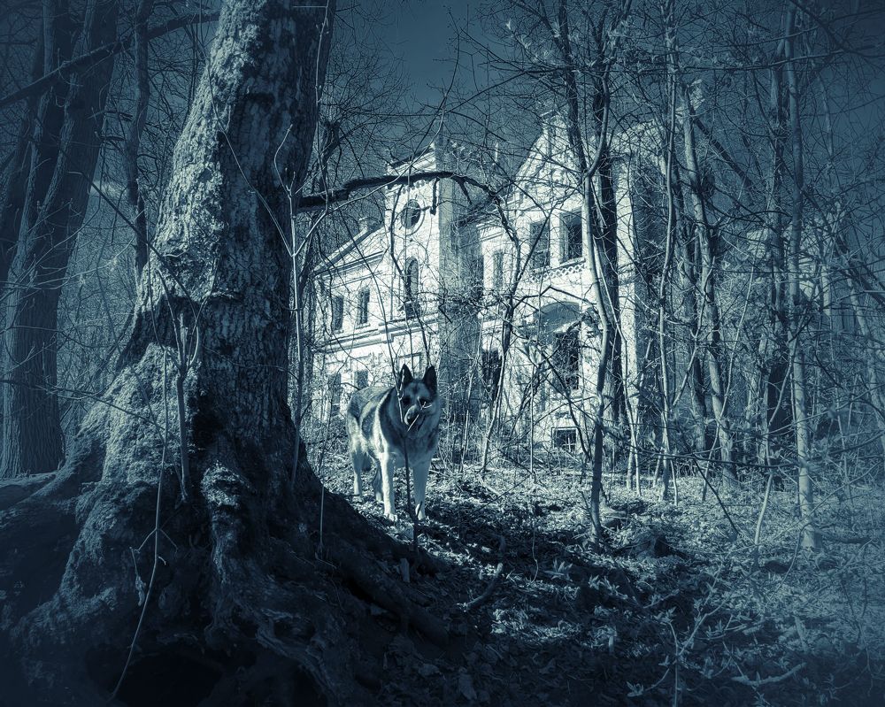 Photograph by Светлана Кондрашова