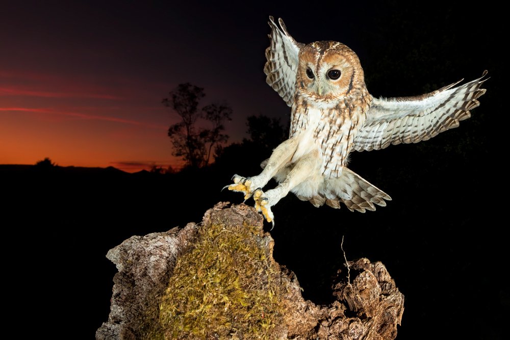 Photograph by Unai Larraya