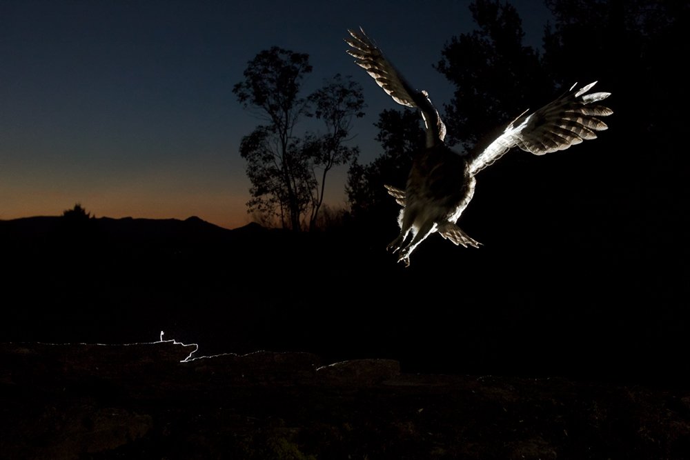 Photograph by Unai Larraya