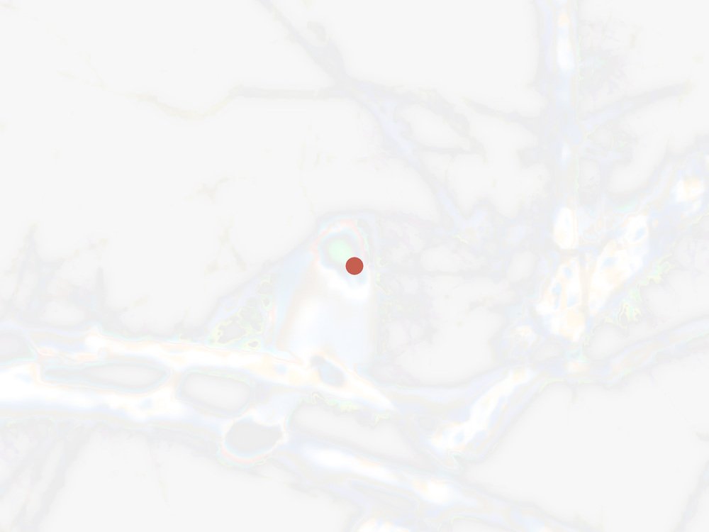 дзен