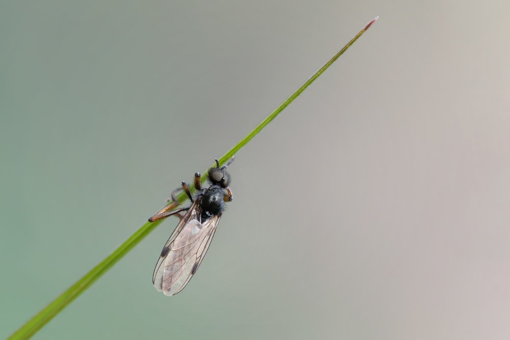 Photograph by Марина Хилько