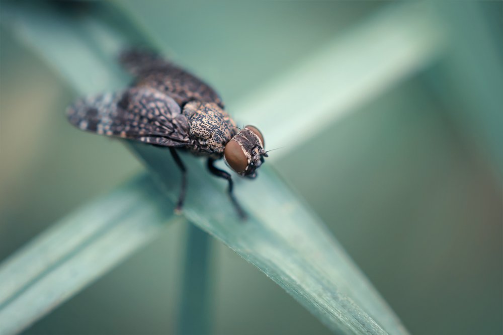 На перепутье