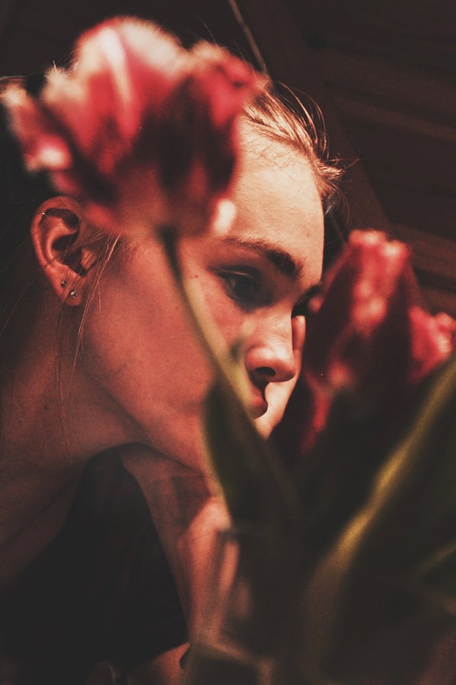 Where the wild roses grow