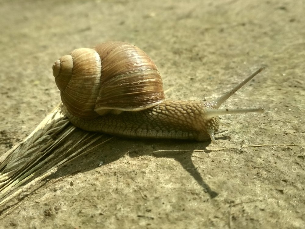 Photograph by Александр Мытько