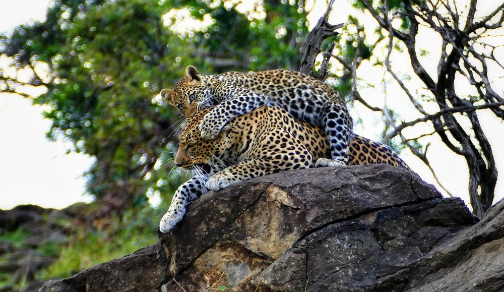 Photograph by Tatyana