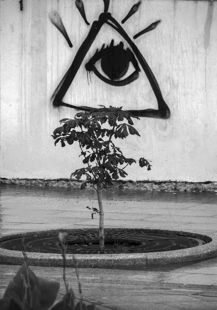 Photograph by Олег Мельченков