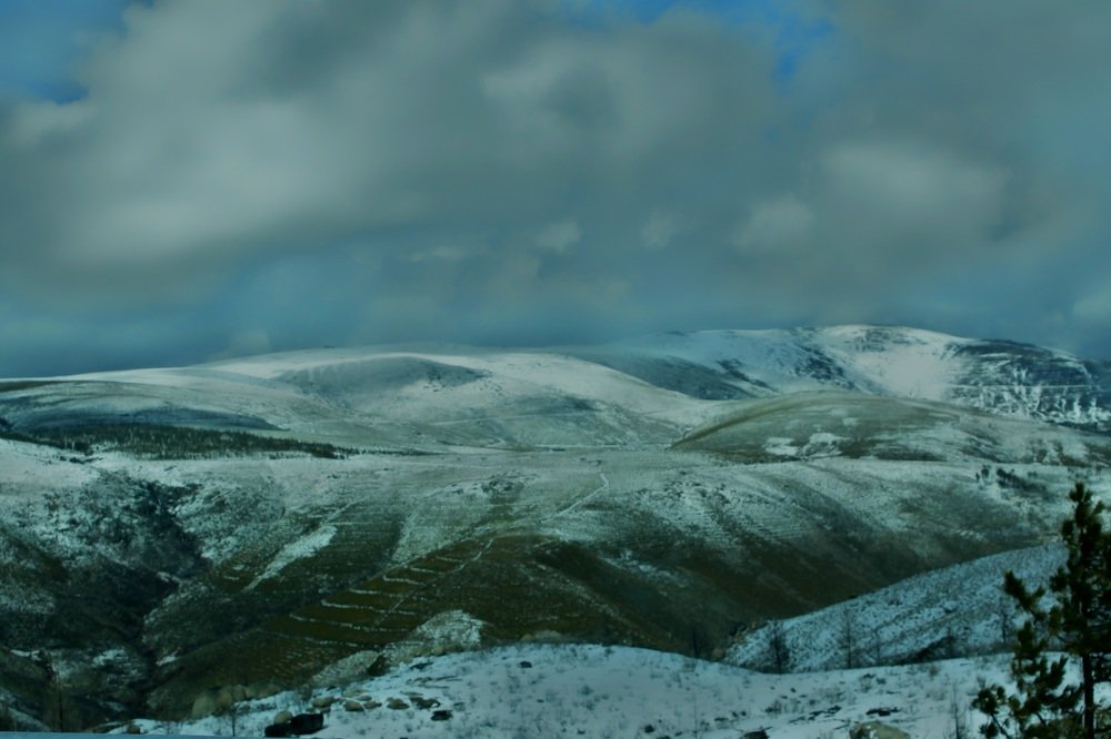 Photograph by Francisco Ferreira