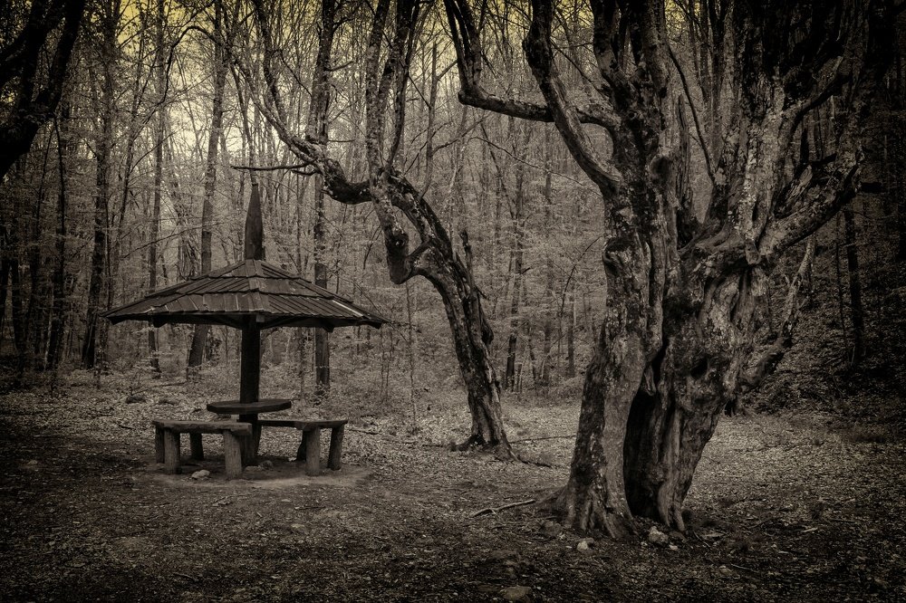 Photograph by Бистра Стоименова