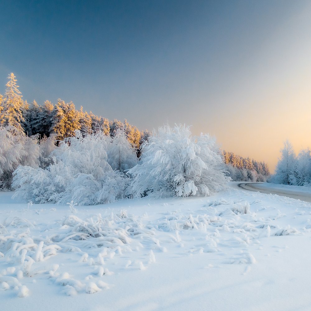 Фотография автора Панагушин Сергей