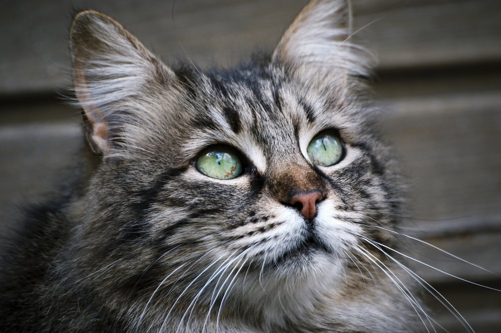 Photograph by Марина Куценко