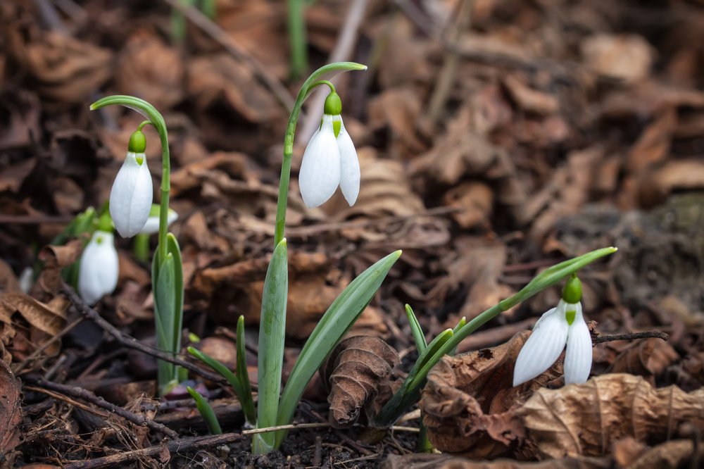 Photograph by Бистра Стоименова